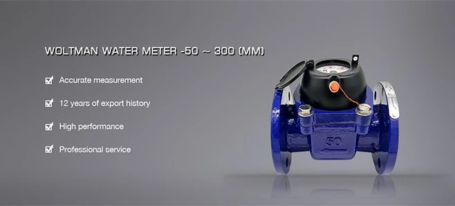 50-300 water meter 50-300 water meter