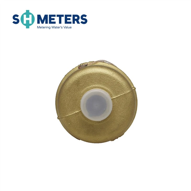 Dn15-25 Piston Volumetric Water Meter With R160 Class C Water Meter