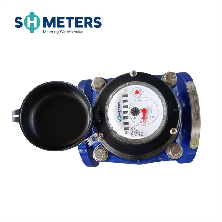 DN300 Woltman Turbine Cold Irrigation Water Meter